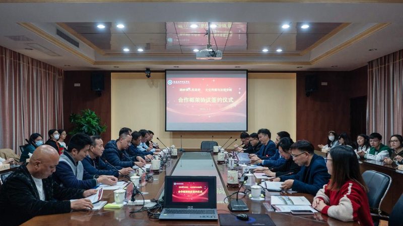 纪录片镜头材质采购指南：揭秘选择背后的秘密